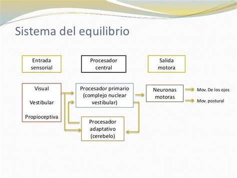 Diagrama de los sistemas involucrados en el equilibrio humano (visual, propioceptivo, vestibular)