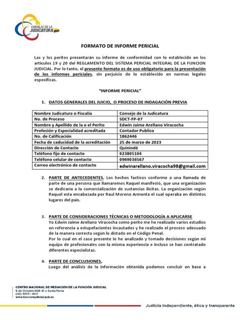 infografía sobre los elementos clave de un informe pericial socioeconómico