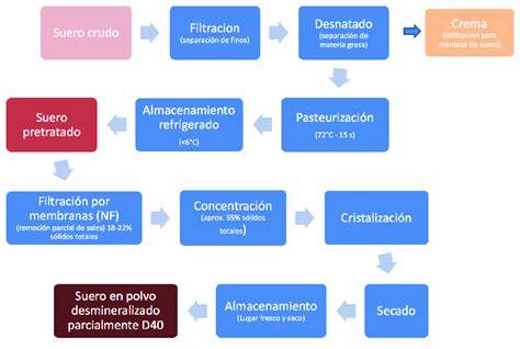 Infografía: flujo de obtención de la credencial en e-RNII