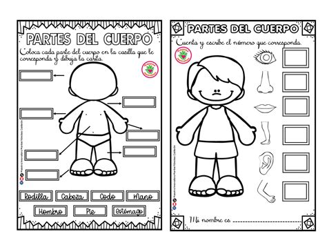 Esquema de las partes del cuerpo y su relación con la discapacidad motriz