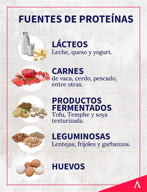 Infografía sobre fuentes de proteínas saludables para adultos mayores