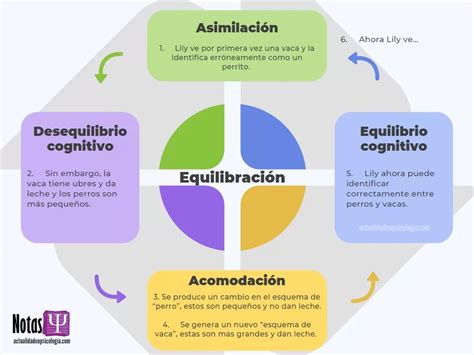 Esquema de las etapas del afrontamiento y la adaptación a una discapacidad