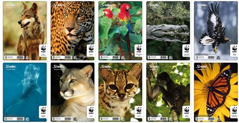 Mural o collage de las cinco especies mencionadas como las más amenazadas según WWF (mono ardilla, tapir, tortuga carey, jaguar, mono aullador)