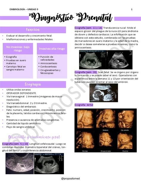 Esquema de las pruebas diagnósticas prenatales