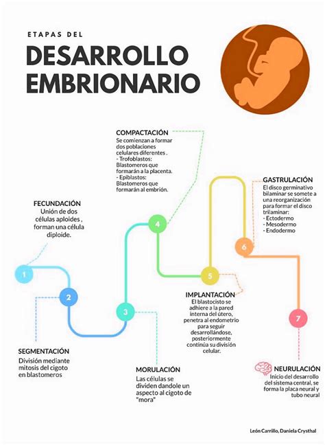 Mapa cronológico del desarrollo del movimiento Hospice desde los hospicios medievales hasta el St. Christopher's Hospice.