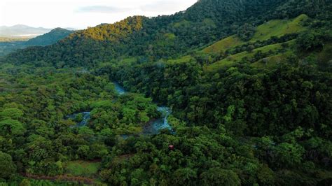 Paisaje natural prístino de un área silvestre protegida con visitantes respetuosos en un sendero
