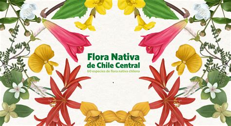 Infografía mostrando la flora y fauna nativa de Chile y advertencias de no tocar o extraer