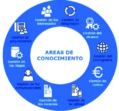 Esquema de las áreas de conocimiento en un curso de asistente gerontológico