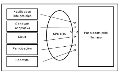 Esquema de las cinco dimensiones del funcionamiento humano en discapacidad intelectual