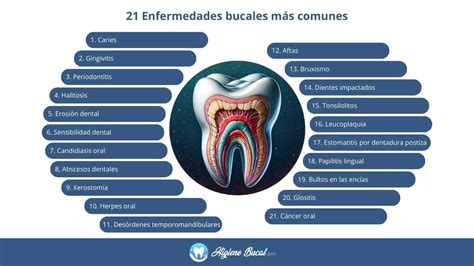 Infografía mostrando las principales patologías bucodentales en personas mayores, como edentulismo, caries radiculares y enfermedad periodontal.