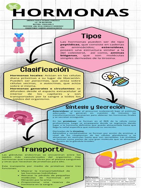 infografía sobre la liberación de hormonas durante un abrazo