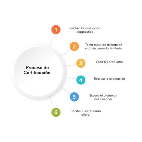 Infografía sobre el proceso de certificación de discapacidad