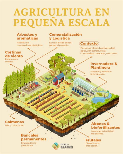 Infografía mostrando el funcionamiento de un sistema de aquaponía en pequeña escala, ideal para un invernadero doméstico.