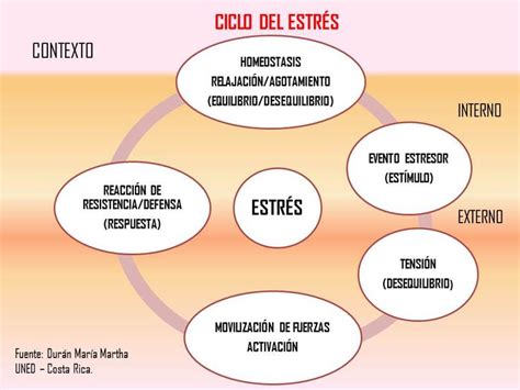 Esquema: Ciclo del estrés del cuidador y sus efectos en la salud física y mental