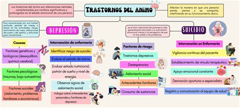 Esquema de intervención integral en trastornos del ánimo en la vejez