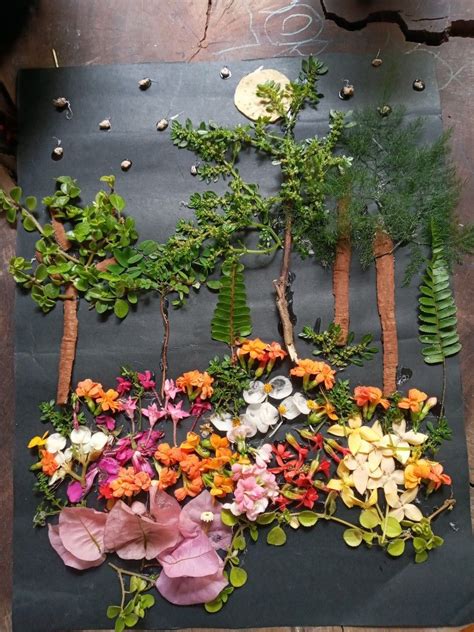 Ilustración de un collage hecho con elementos de la naturaleza