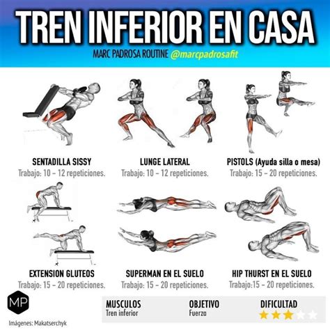 Infografía resumen visual de los 8 ejercicios para tronco, cadera y piernas