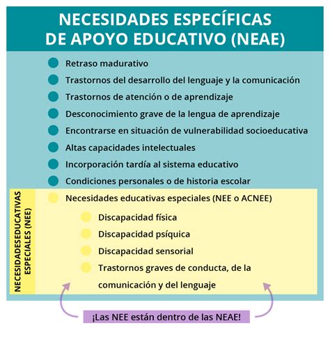 Infografía comparativa: NEE vs NEAE