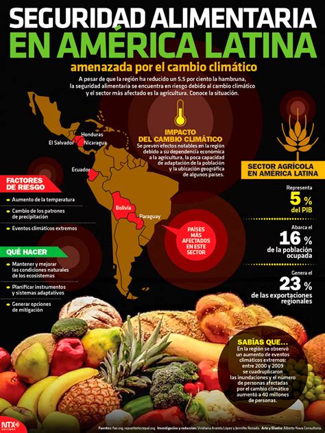 Infografía: Ejes de protección social y seguridad alimentaria en América Latina