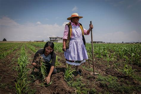 Mujeres agricultoras preparando el terreno y sembrando semillas en el campo