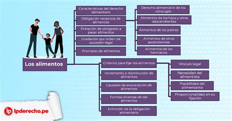 Infografía explicativa sobre los conceptos básicos y componentes que cubre la pensión de alimentos