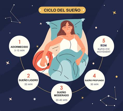 infografía sobre las etapas y ciclos del sueño