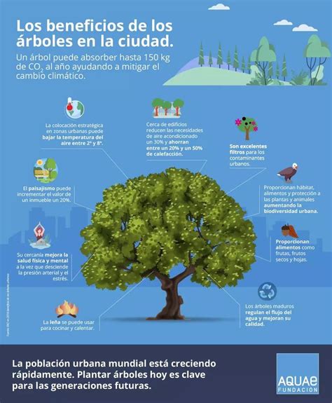 Infografía: Beneficios de un nombre de marca sólido para alquileres vacacionales