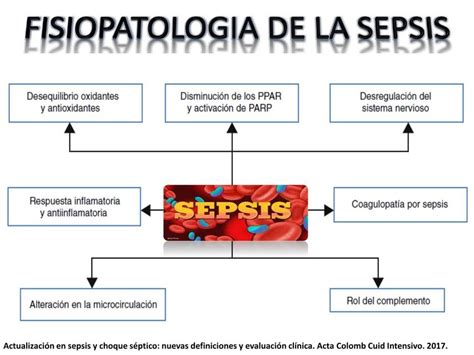 esquema detallado de la fisiopatología de la sepsis mostrando la respuesta inflamatoria sistémica y el daño a órganos vitales como pulmones, hígado y riñones