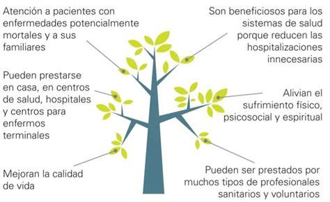 Esquema visual que explica los cuidados paliativos como un enfoque holístico e integral