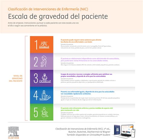 Gráfico que muestra la escala de gravedad de la discapacidad cognitiva de leve a profunda