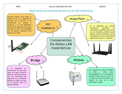 Esquema de las principales redes de comunicación y sus componentes