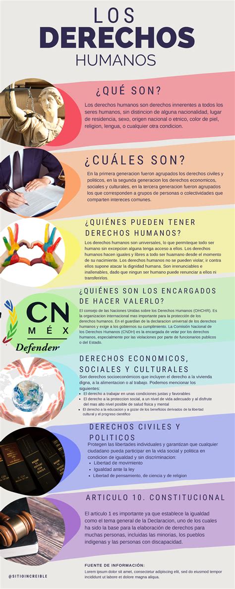 infografía sobre los derechos y principios de la Ley de Discapacidad en Ecuador