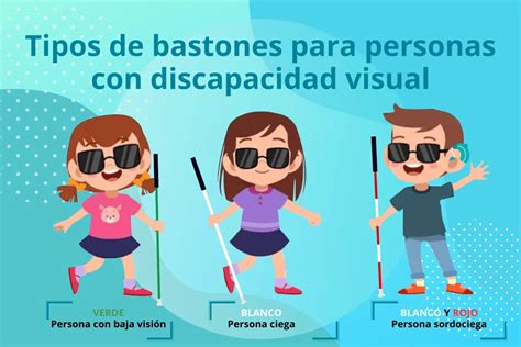 imágenes de los diferentes tipos de bastones utilizados por personas con discapacidad visual
