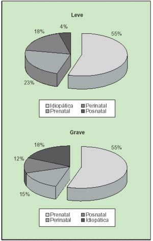 Gráfico de distribución etiológica según el grado de retraso intelectual