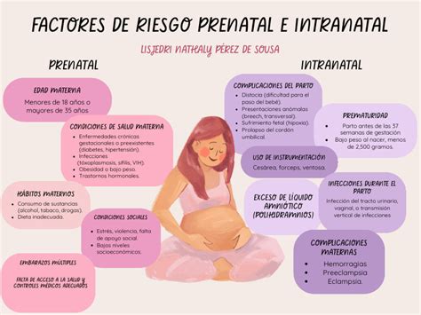 ilustracion de un embrión mostrando factores de riesgo prenatales