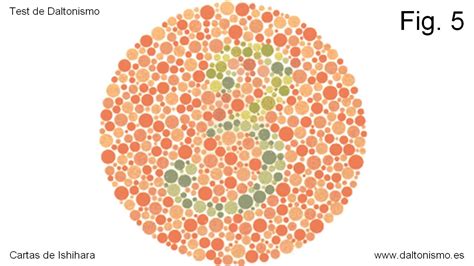 Ejemplo de una lámina del test de Ishihara para el diagnóstico de daltonismo.