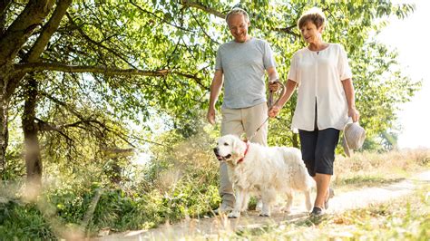 Pareja sonriente cuidando un perro en un jardín