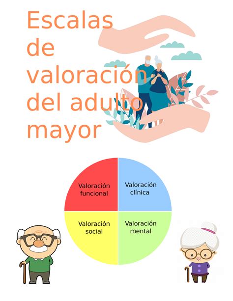 Esquema sobre las dimensiones de la valoración del adulto mayor