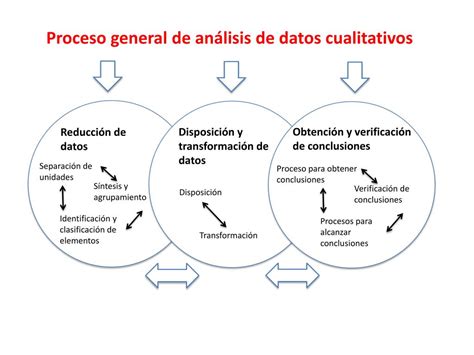 Diagrama de flujo del proceso de análisis de datos cualitativos