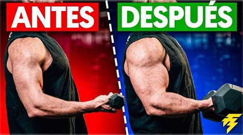 Gráfico comparativo mostrando el aumento de masa muscular y fuerza en adultos mayores tras un programa de entrenamiento de fuerza.