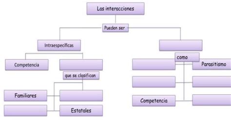Esquema de las interacciones entre persona, limitaciones y entorno