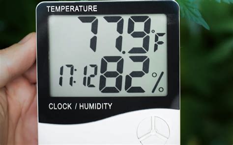 Infografía comparativa de temperatura y humedad óptima para plántulas