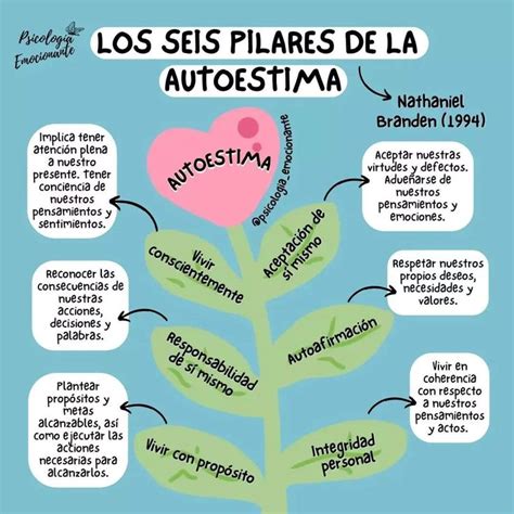 Esquema sobre los pilares de la autoestima en la tercera edad: salud física, redes de apoyo y autonomía.