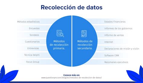 Esquema sobre la metodología de recolección de datos en encuestas sociales y de salud