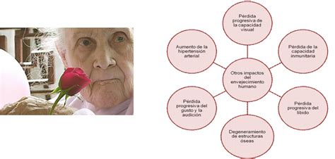 Esquema de las causas de deterioro funcional en el adulto mayor hospitalizado