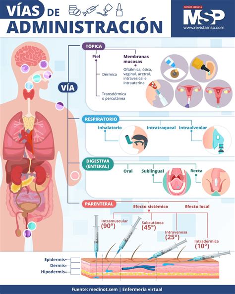 Infografía detallando las diferentes vías de admisión a la UC y los documentos requeridos para cada una.