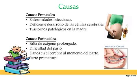 Esquema cronológico de las causas prenatales, perinatales y postnatales de la discapacidad motora.