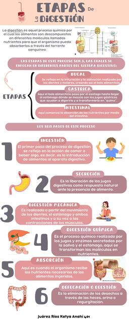 Infografía que detalla las etapas del proceso de estigmatización.