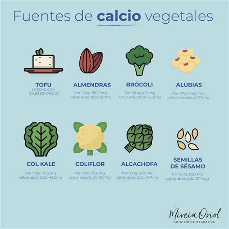 Infografía: fuentes de calcio y consejos para mejorar su absorción mediante la combinación con vitamina D y técnicas de cocción al vapor.