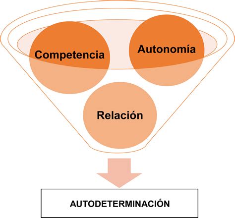 Esquema conceptual que muestra la relación entre la autodeterminación, el apoyo del entorno y los pilares del proyecto de vida en personas con discapacidad.